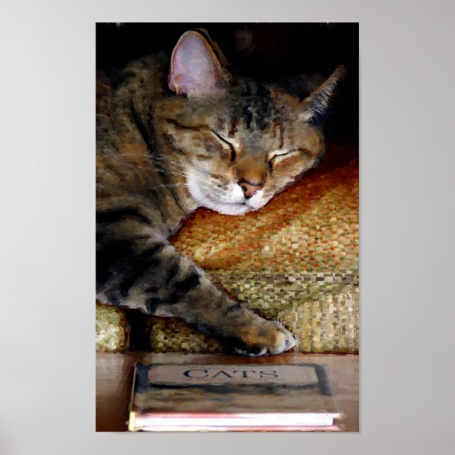 Sömnig färg på katt Bok Poster (Framsidan)