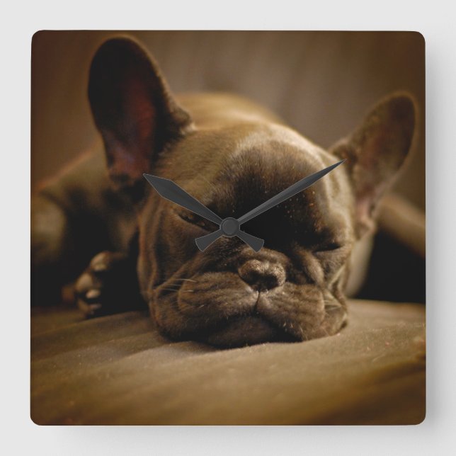 Sömnig Fransk Bulldog Fyrkantig Klocka (Framsida)