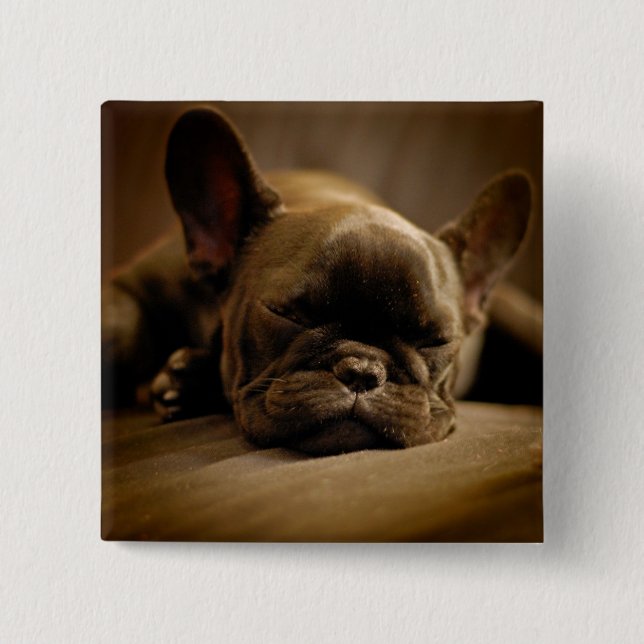 Sömnig Fransk Bulldog Knapp (Framsida)