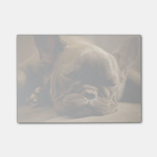 Sömnig fransk bulldogg post-it block