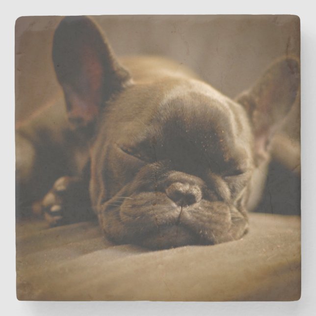Sömnig fransk bulldogg stenunderlägg (Framsidan)