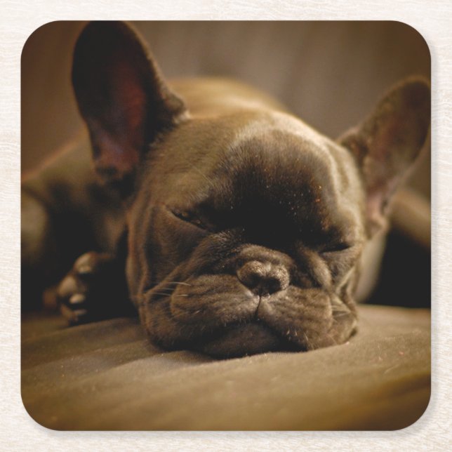 Sömnig fransk bulldogg underlägg papper kvadrat (Framsidan)