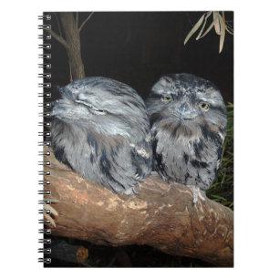 Sömnig Frogmouth Uggla, Anteckningsbok