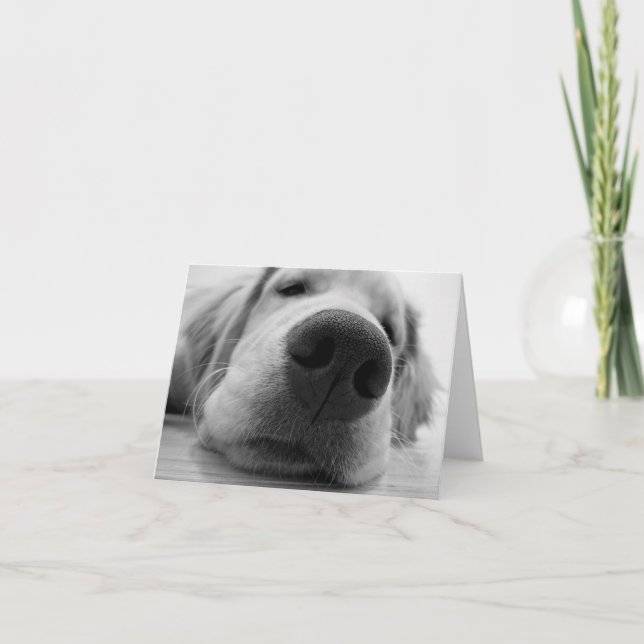 Sömnig Golden Kort (Framsida)