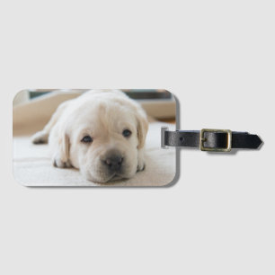 Sömnig Golden Labrador Puppy Bagagebricka