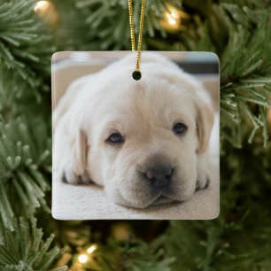 Sömnig Golden Labrador Puppy Julgransprydnad Keramik