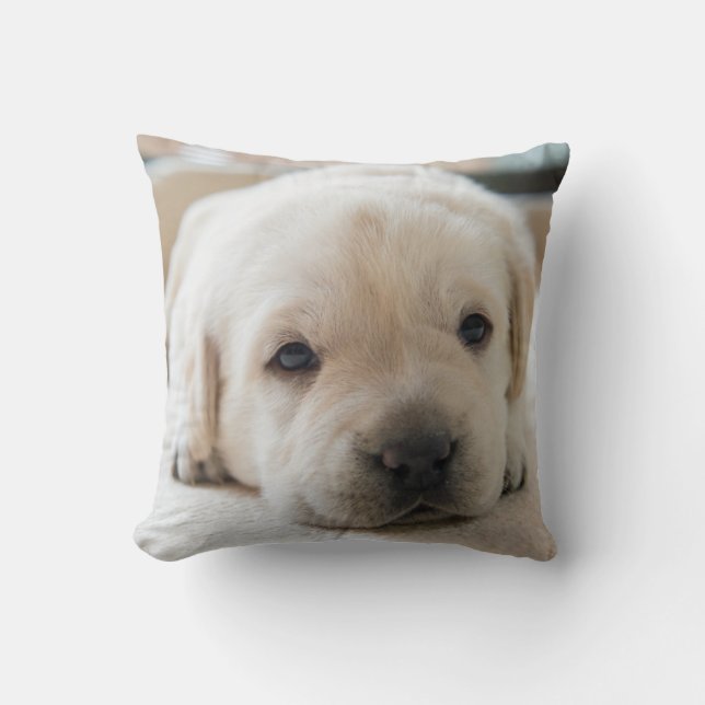 Sömnig Golden Labrador Puppy Kudde (Framsida)