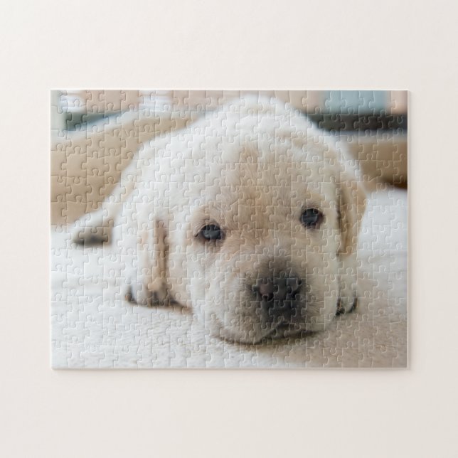 Sömnig Golden Labrador Puppy Pussel (Horisontell)