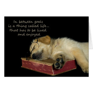 Sömnig Golden Retriever OBS Kort