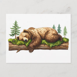 Sömnig grizzly Bear Forest Illustration Vykort
