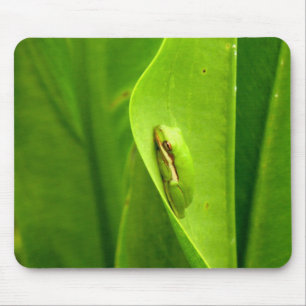 Sömnig Grönt Frog Musmatta