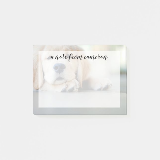 Sömnig guldfärgad återgivningsvalp post-it block (Framsida)