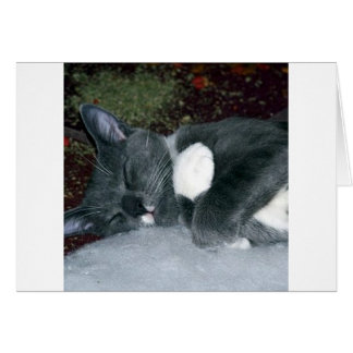 Sömnig Gus Hälsningskort