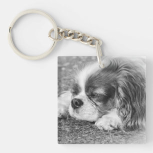 Sömnig Hund akryl-Nyckelring