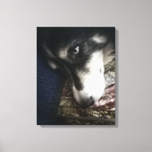 Sömnig Hund Canvastryck