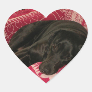 Sömnig Hund-etikettuppsättning Hjärtformat Klistermärke