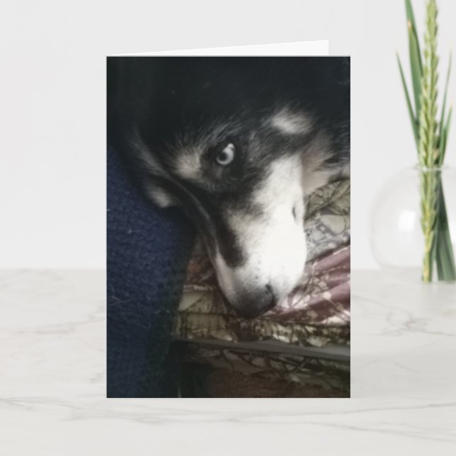 Sömnig Hund Helgkort (Framsida)