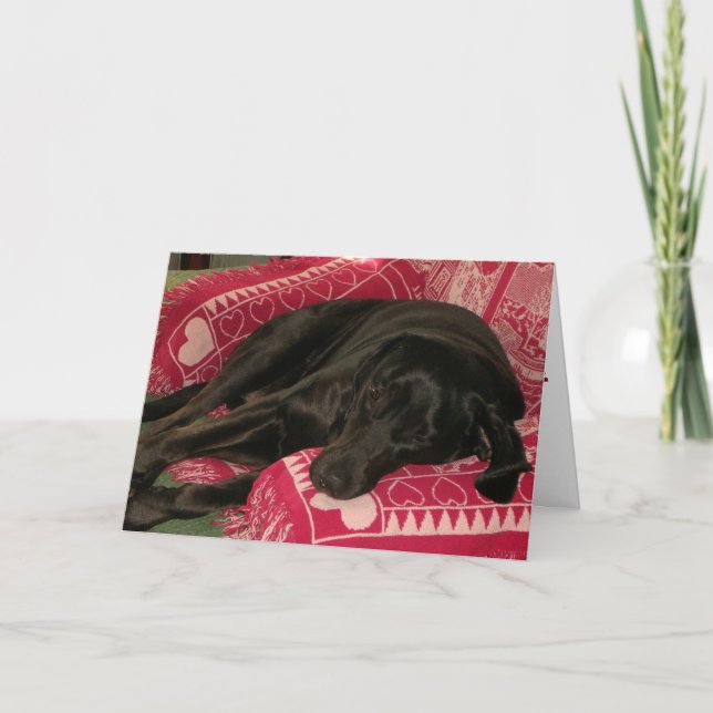 Sömnig Hund "Jag är ledsen"-hälsningskort Kort (Framsida)