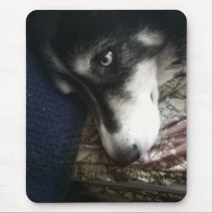 Sömnig Hund Musmatta