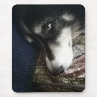 Sömnig Hund Musmatta