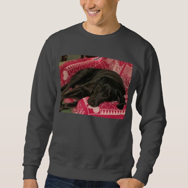 Sömnig Hund tröja Lång Ärmad Tröja (Framsida)