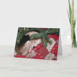 Sömnig jul Beagle Helgkort