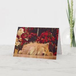 Sömnig jul Corgi Helgkort