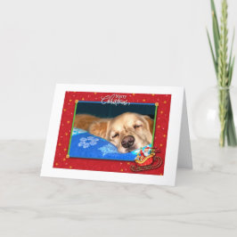 Sömnig Julhälsningar visitkort för Golden Retrieve Helgkort