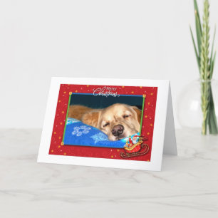 Sömnig Julhälsningar visitkort för Golden Retrieve Helgkort
