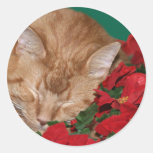 Sömnig julkattunge runt klistermärke