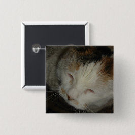Sömnig Kalikokat Knapp