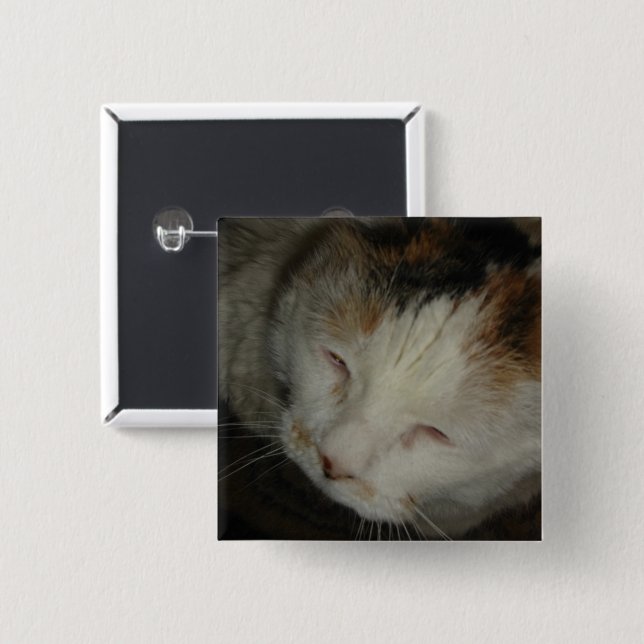 Sömnig Kalikokat Knapp (Framsida & baksida)