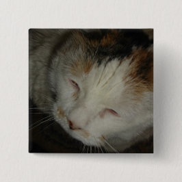 Sömnig Kalikokat Knapp