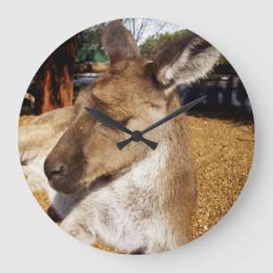 Sömnig Kangaroo. Stor Klocka