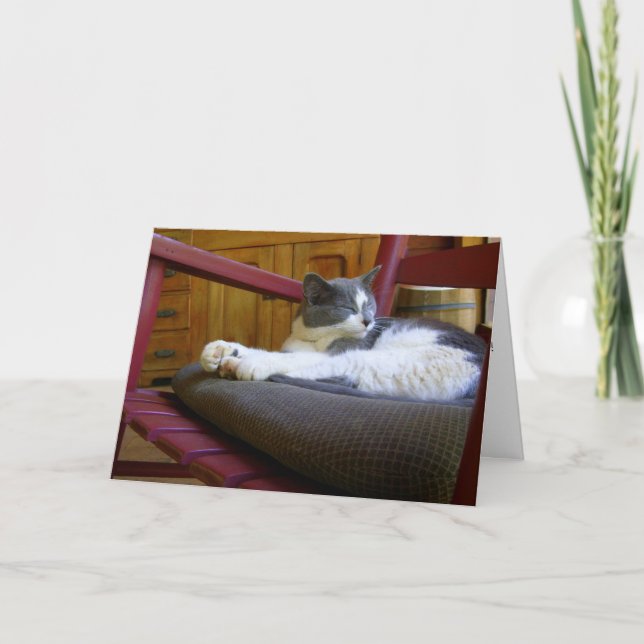 Sömnig Katt-/födelsedagskort Kort (Framsida)