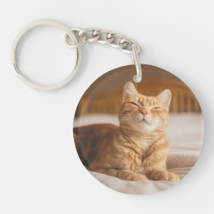 Sömnig katt för Getty bilder