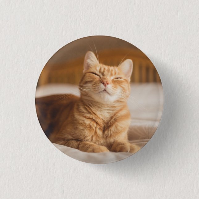 Sömnig katt för Getty bilder | Knapp (Framsida)