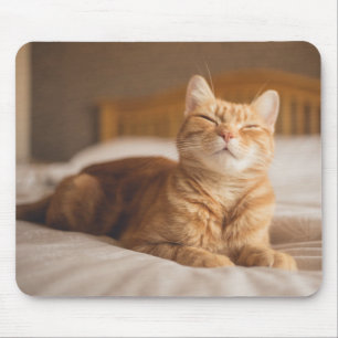 Sömnig katt för Getty bilder Musmatta