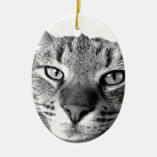 Sömnig Katt Julgransprydnad Keramik