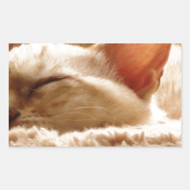Sömnig Katt Rektangulärt Klistermärke (Framsida)