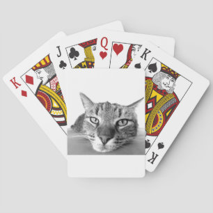 Sömnig Katt Spelkort