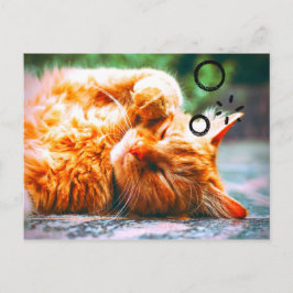 Sömnig Katt Vykort