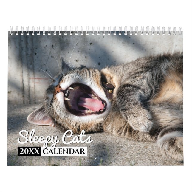 Sömnig katter - fotovägskalender kalender (Omslag)