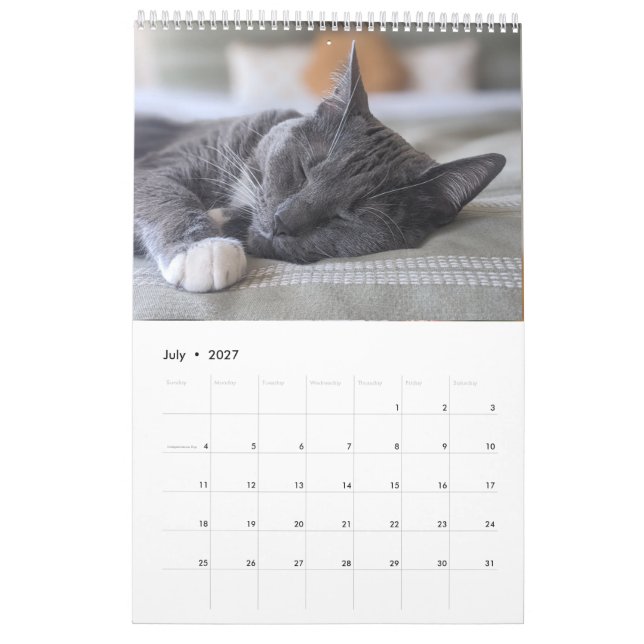 Sömnig kattkalender kalender (Jul 2027)