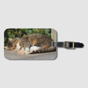 Sömnig kattunge bagagebricka