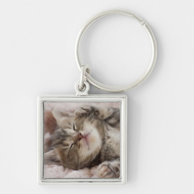 Sömnig kattunge fyrkantig silverfärgad nyckelring (Framsidan)