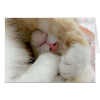 Sömnig Kattunge Hälsningskort