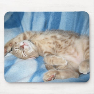 Sömnig kattunge Mousepad Musmatta