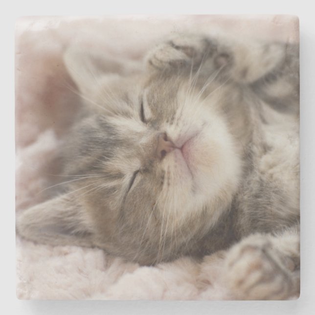 Sömnig kattunge stenunderlägg (Framsidan)
