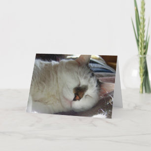 Sömnig kattungefödelsedag kort